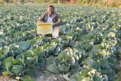 Farmers showing their farm produce