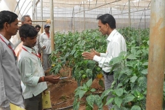 Farmers taking inputs about green house cultivation