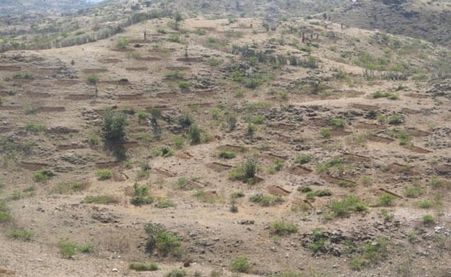 Soil and Water Conservation work in Mandali Watershed.